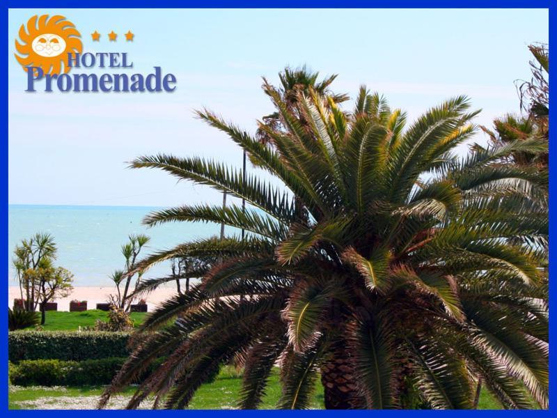 Hotel Promenade Porto SantʼElpidio Exterior foto